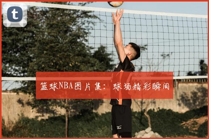 篮球NBA图片集：球场精彩瞬间